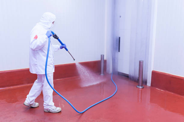 Best Commercial Pressure Washing in Fifth Street, TX